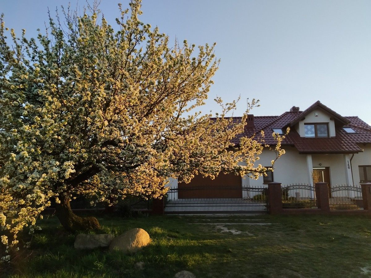 dom wolnostojący, 5 pokoi Mościszki. Zdjęcie 2