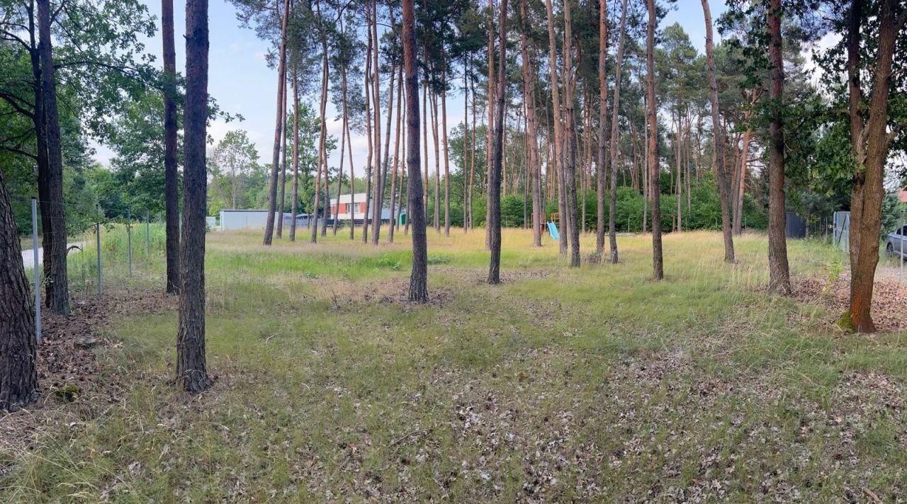 Działka Krzywiec