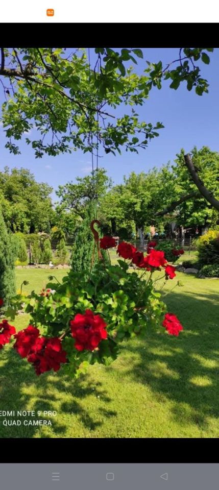 Działka rod Zabrze Kończyce