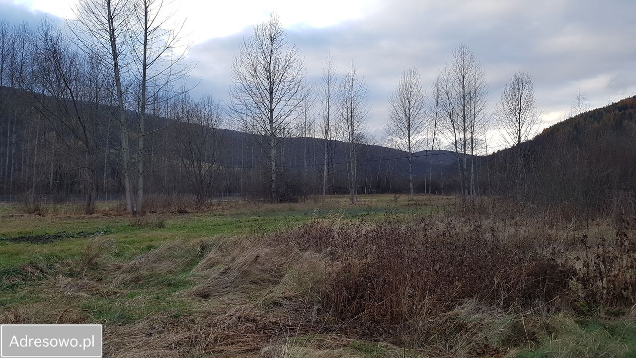 Działka inwestycyjna Bóbrka. Zdjęcie 12