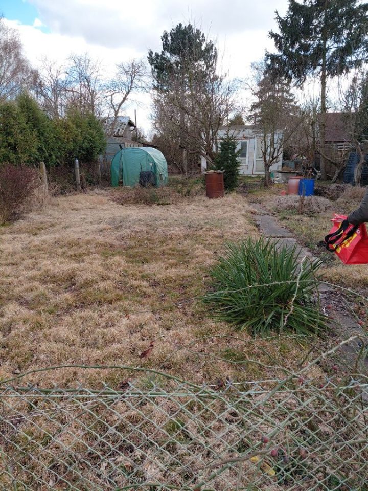 Działka rod Szczecin Śródmieście. Zdjęcie 4