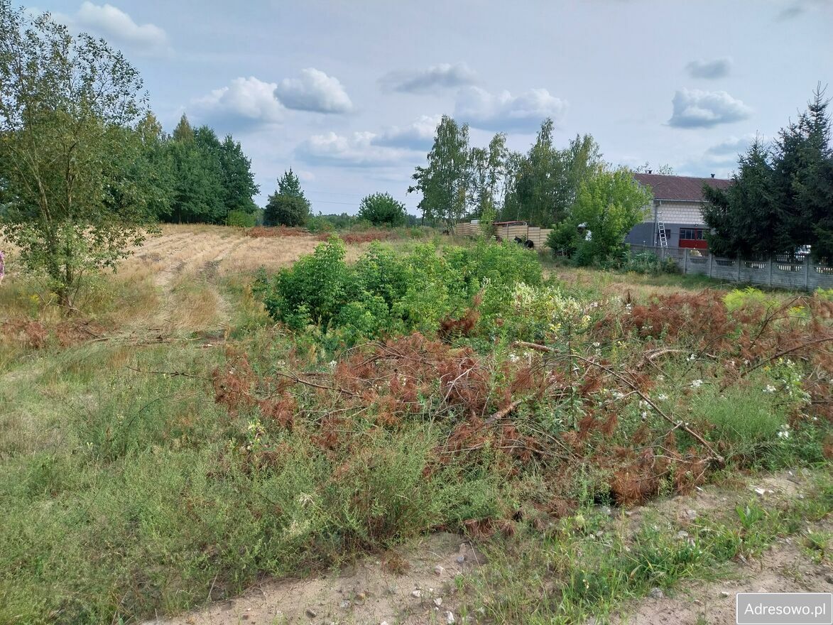 Działka rolna Stromiecka Wola. Zdjęcie 2