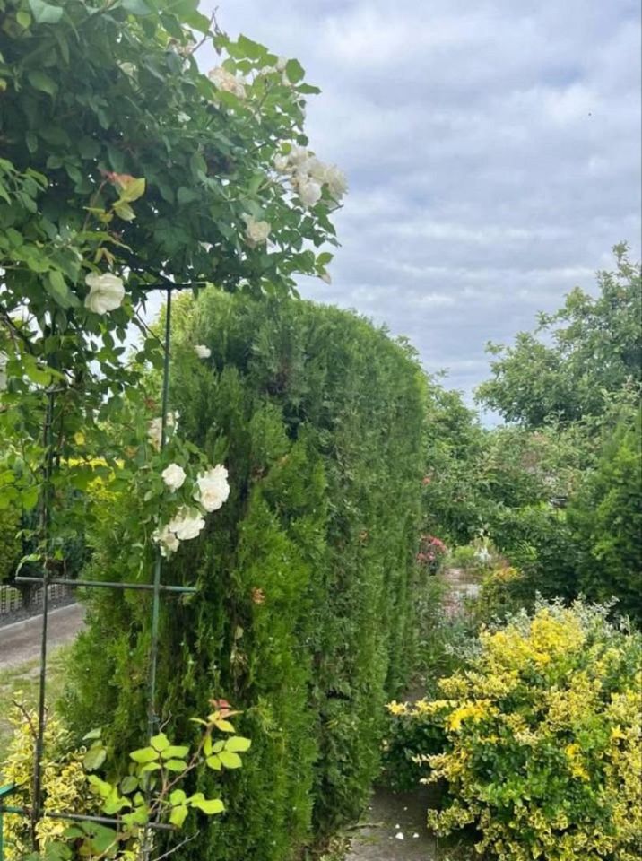 Działka rekreacyjna Kalisz, ul. Polna. Zdjęcie 5