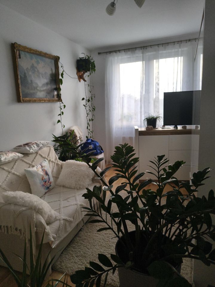 dom szeregowy, 3 pokoje Wioska, ul. Bukowa. Zdjęcie 6