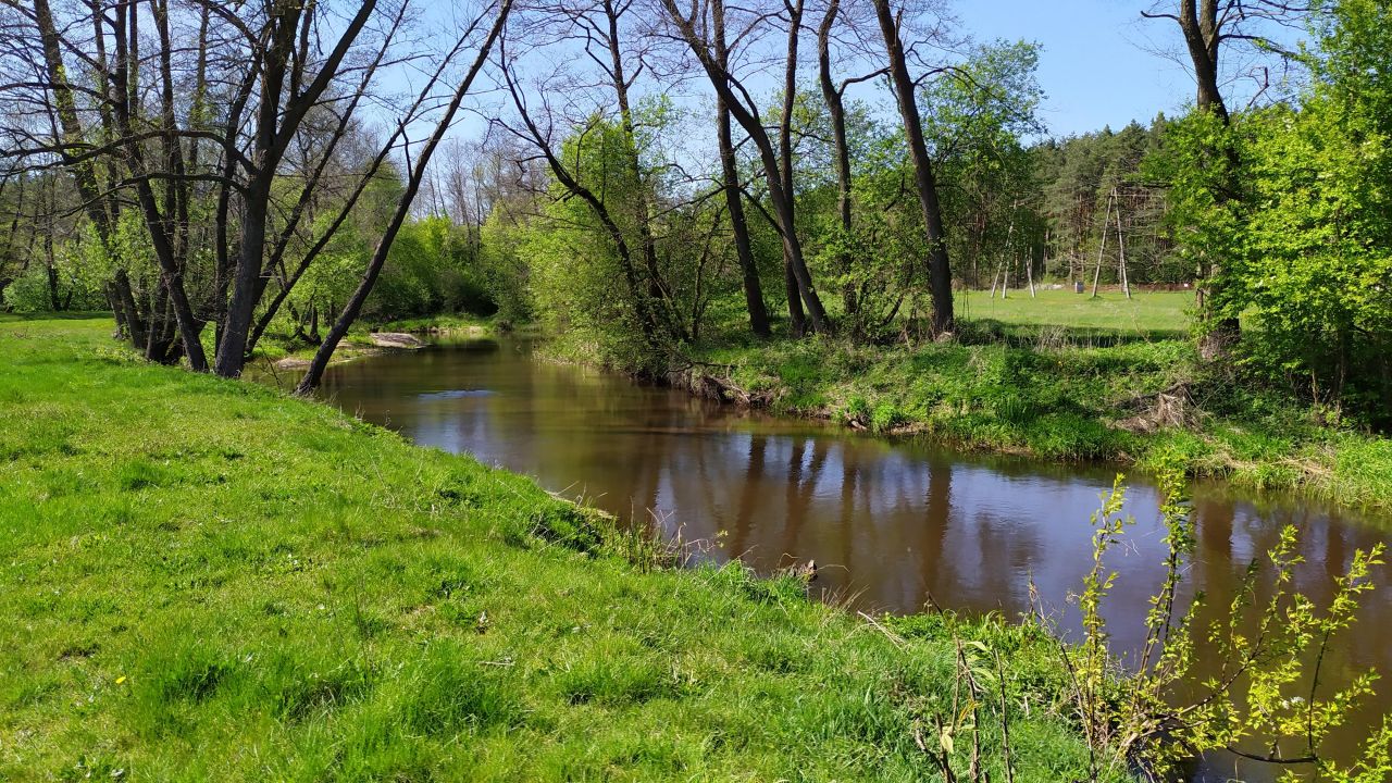 Działka rolna Bocheniec. Zdjęcie 8