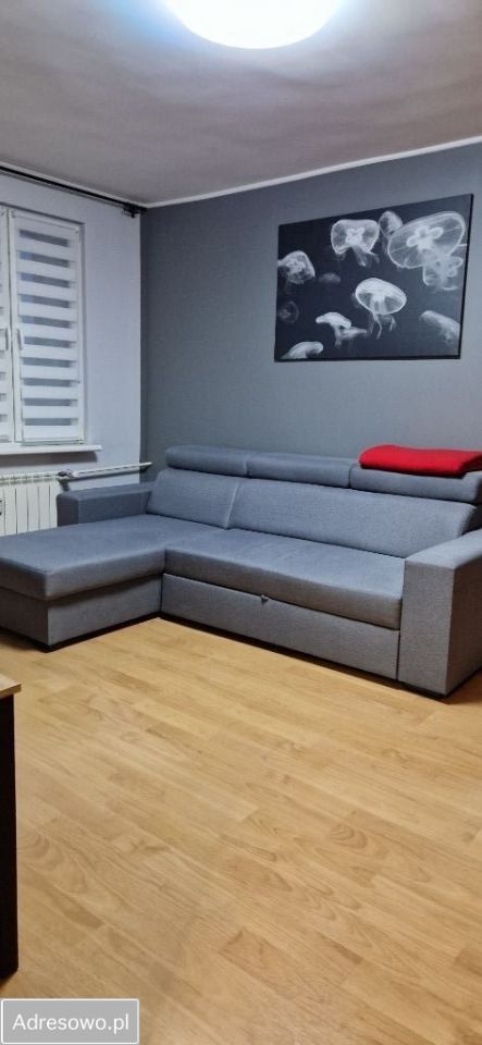 Mieszkanie 2-pokojowe Lewin Brzeski, ul. Kosynierów. Zdjęcie 1