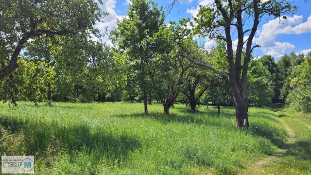 dom wolnostojący, 7 pokoi Morawica. Zdjęcie 20