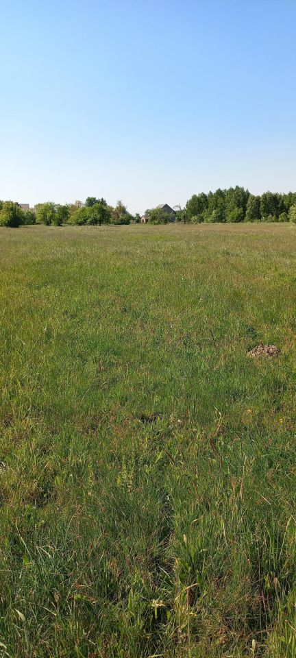 Działka rolno-budowlana Wincentów. Zdjęcie 2