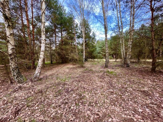 Działka rolna Bieniewiec, ul. Dziewicza. Zdjęcie 1