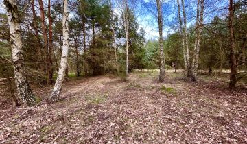 Działka rolna Bieniewiec, ul. Dziewicza