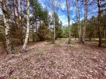 Działka rolna Bieniewiec, ul. Dziewicza