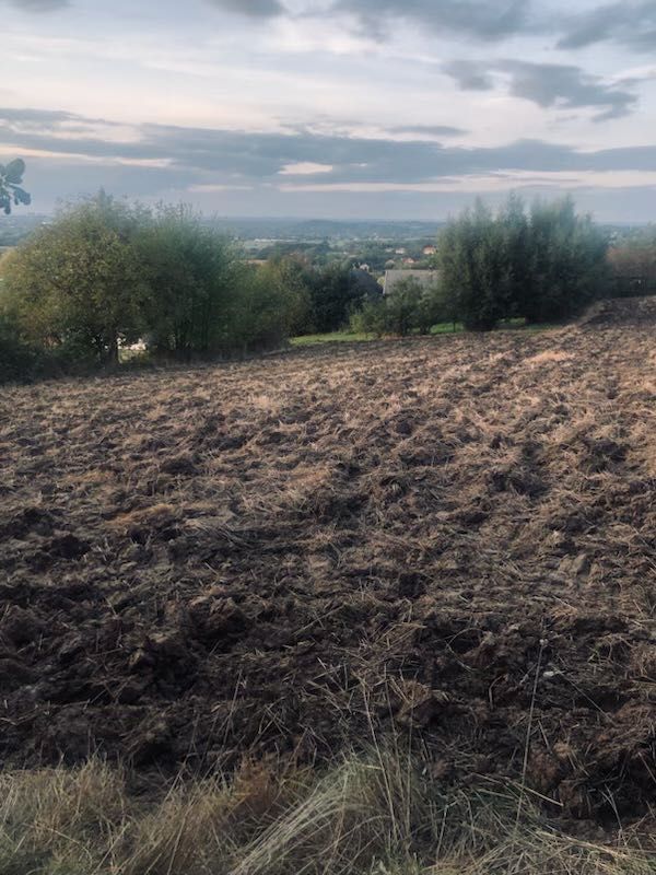 Działka budowlana Buczyna. Zdjęcie 2