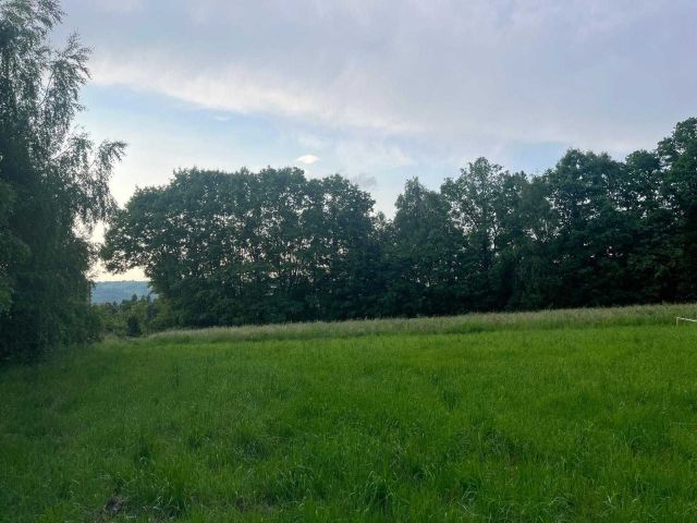 Działka rolno-budowlana Włosań. Zdjęcie 1