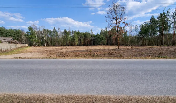 Działka rolno-budowlana Budy, Brodowa Góra