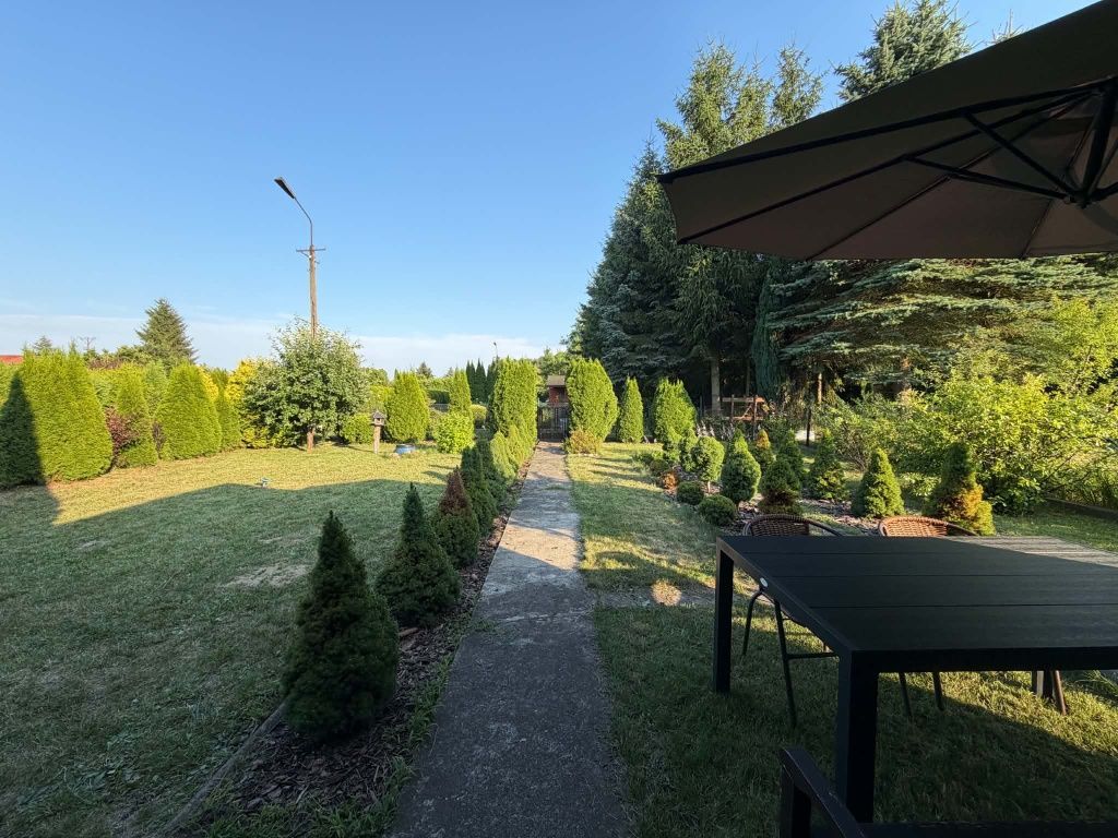 Działka rod Żyrardów. Zdjęcie 8