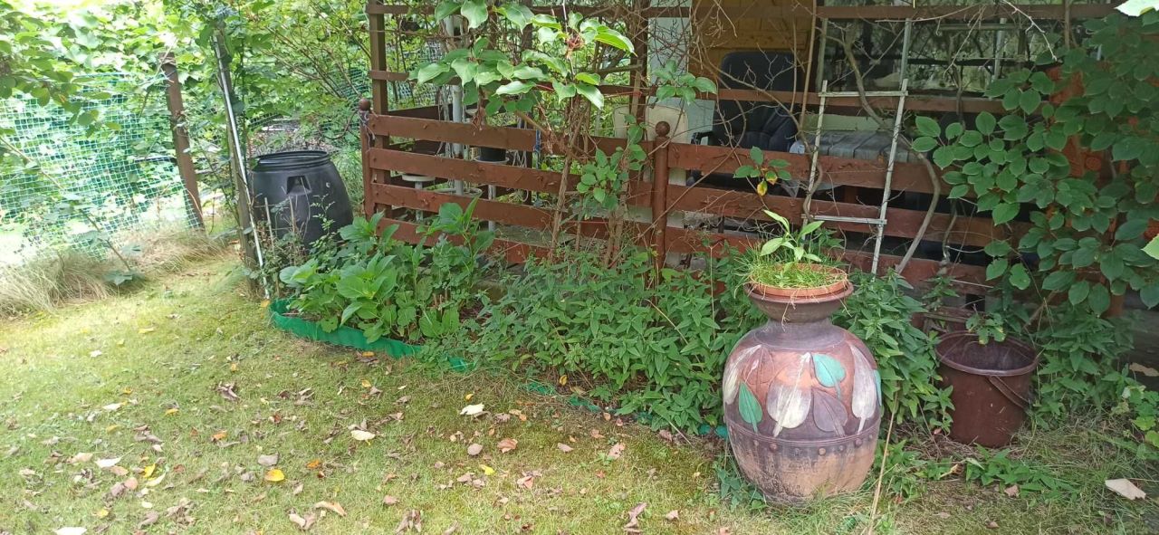 Działka rod Gliwice Sikornik. Zdjęcie 2