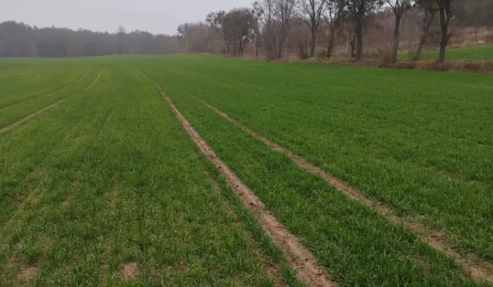 Działka budowlana Kłódka