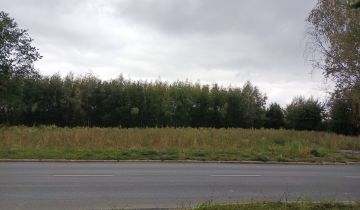 Działka inwestycyjna Piotrków Trybunalski, ul. Gliniana