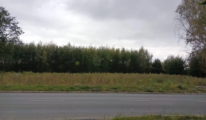 Działka inwestycyjna Piotrków Trybunalski, ul. Gliniana
