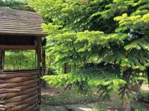 Działka rod Odrano-Wola. Zdjęcie 4