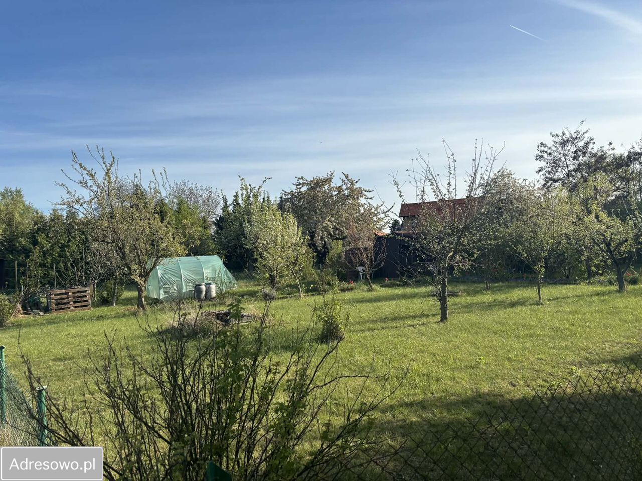 Działka rod Pyrzyce, ul. Niepodległości. Zdjęcie 5