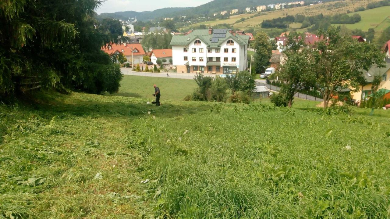 Działka budowlana Krynica-Zdrój, ul. Ludowa. Zdjęcie 6