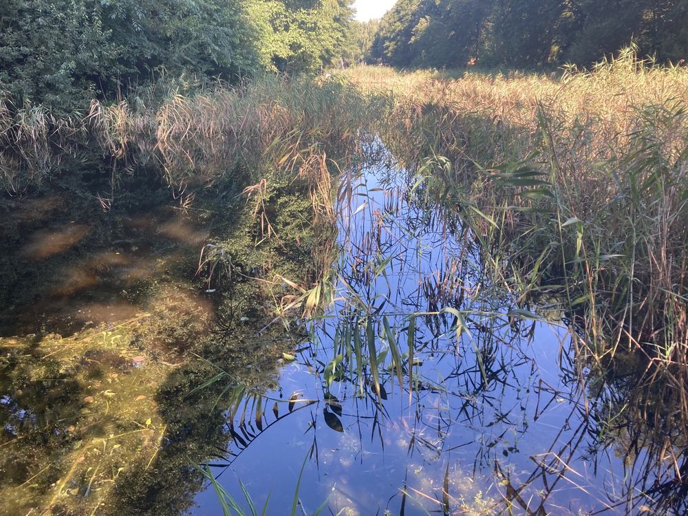 Działka rod Warszawa Bielany. Zdjęcie 8