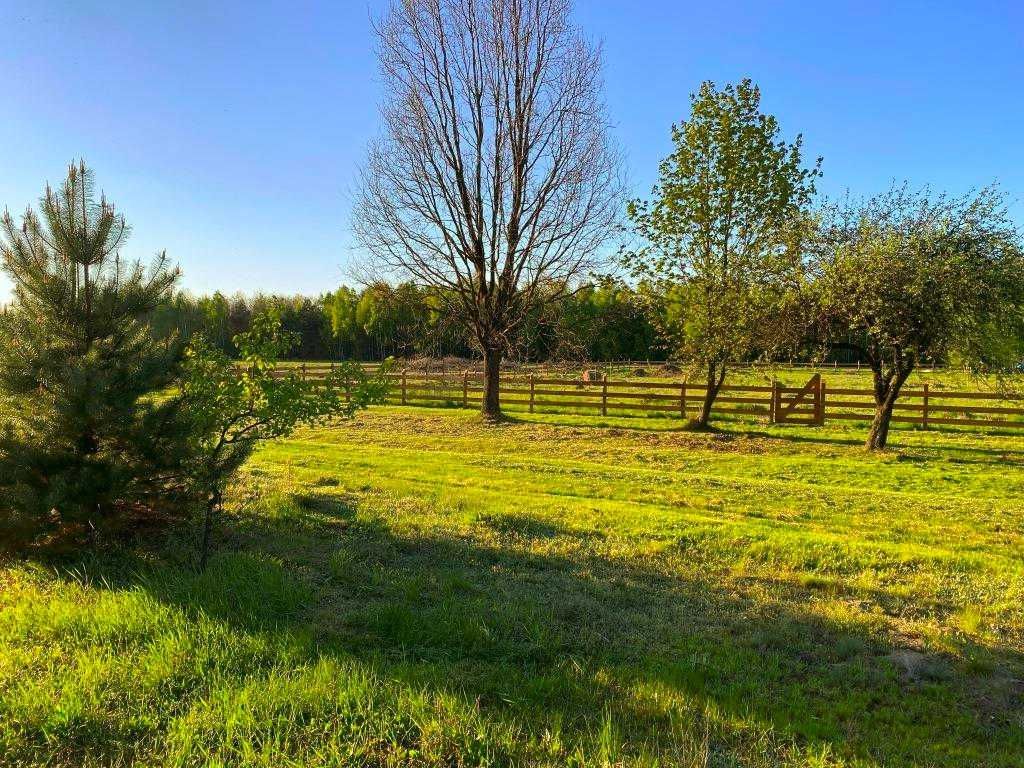 Działka Nowe Zawady. Zdjęcie 6