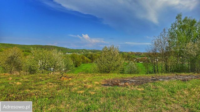 Działka rolna Górki. Zdjęcie 1