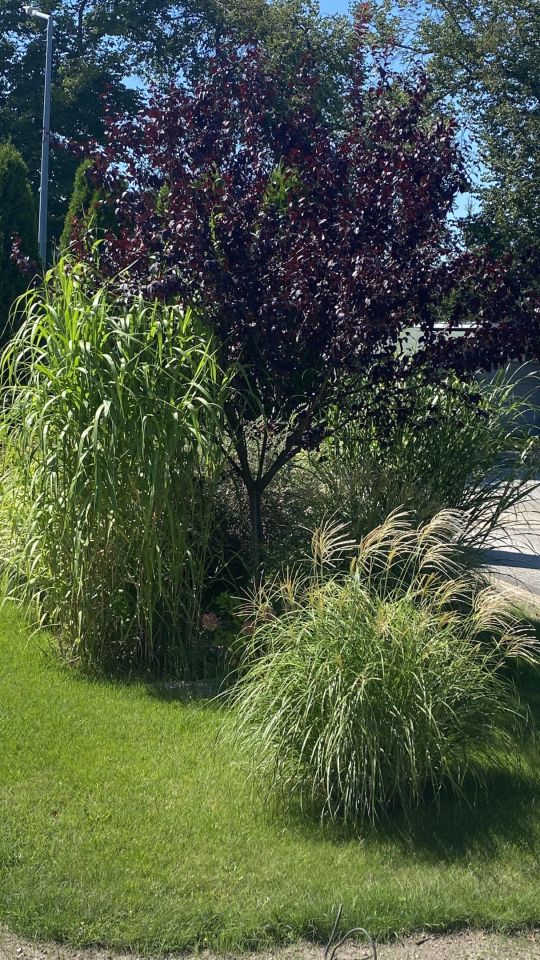 dom wolnostojący, 6 pokoi Chocianów, ul. Szprotawska. Zdjęcie 41