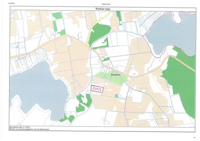 Działka rolno-budowlana Żardeniki. Zdjęcie 1