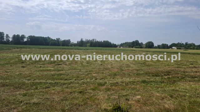 Działka rolna Malanowo Stare. Zdjęcie 9
