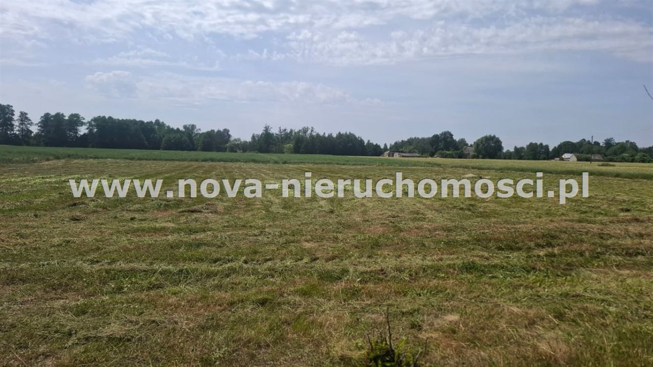 Działka rolna Malanowo Stare. Zdjęcie 9