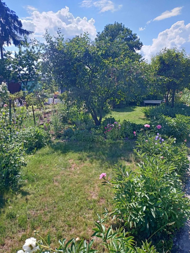 Działka rod Wrocław Psie Pole, ul. Henryka Michała Kamieńskiego. Zdjęcie 4