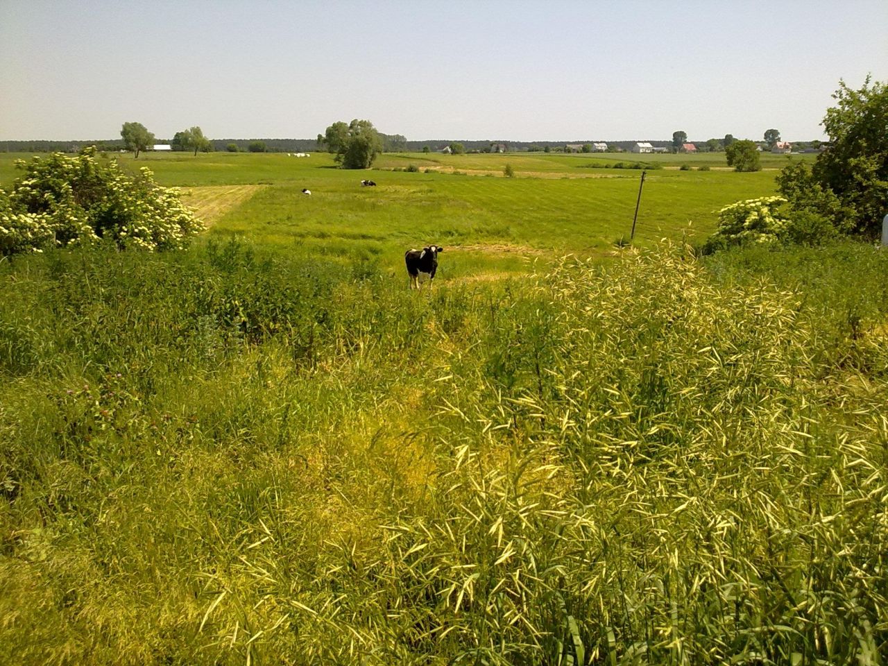 dom wolnostojący, 4 pokoje Kosiły. Zdjęcie 6