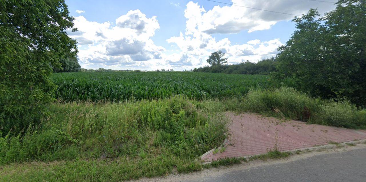 Działka siedliskowa Łęg. Zdjęcie 10