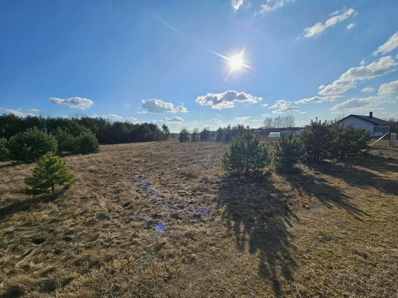 Działka budowlana Paruszka. Zdjęcie 4