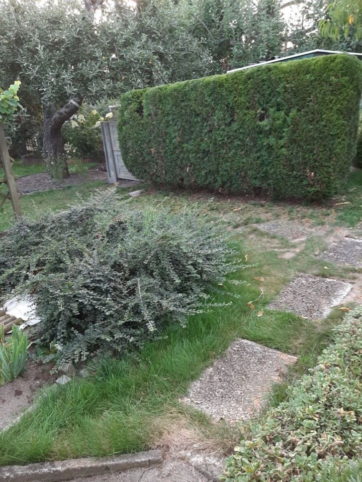 Działka rod Gubin. Zdjęcie 7