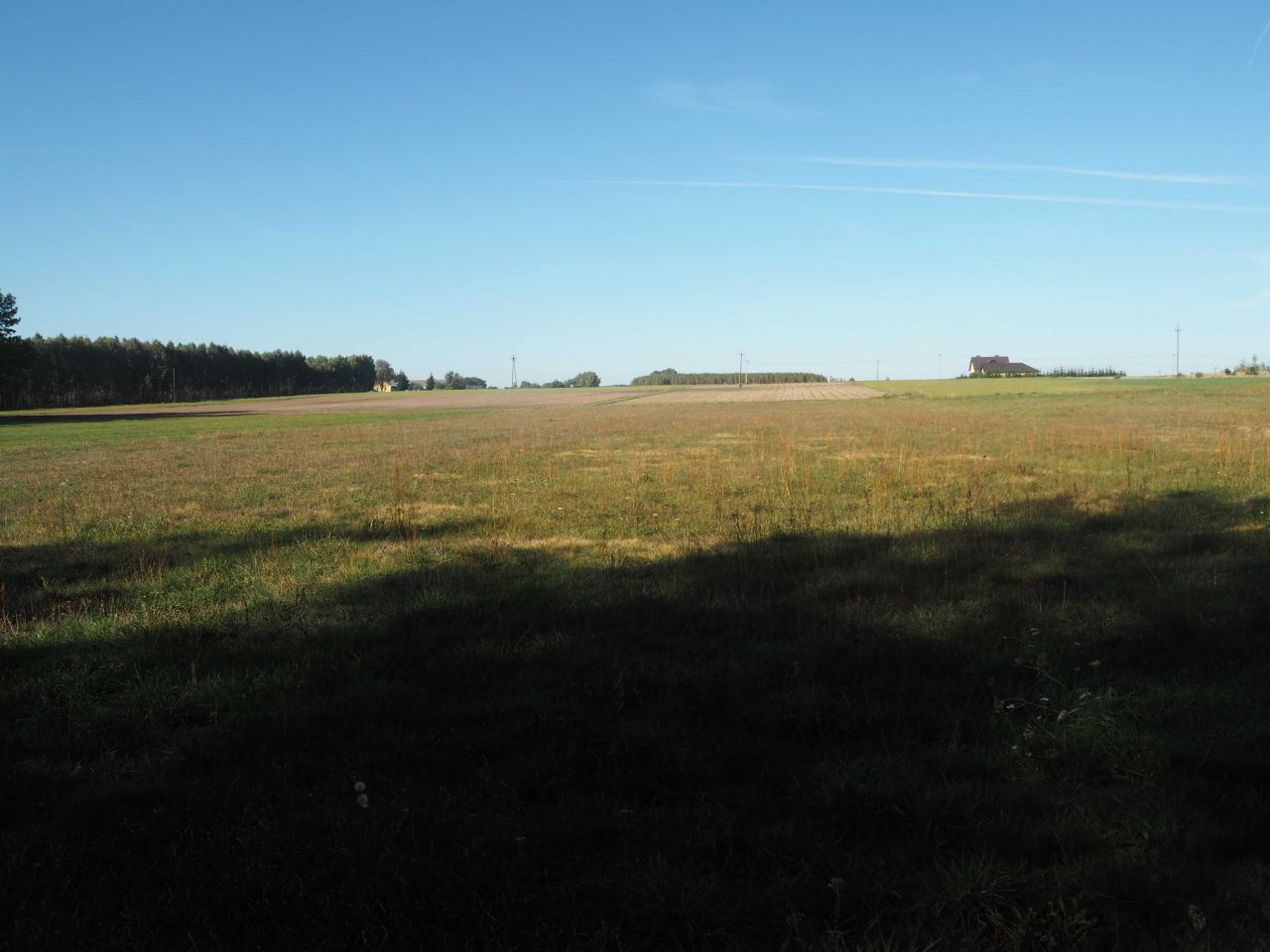 Działka rolna Głupianka. Zdjęcie 5