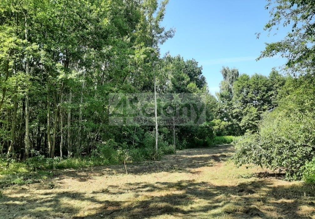 Działka budowlana Kady. Zdjęcie 5