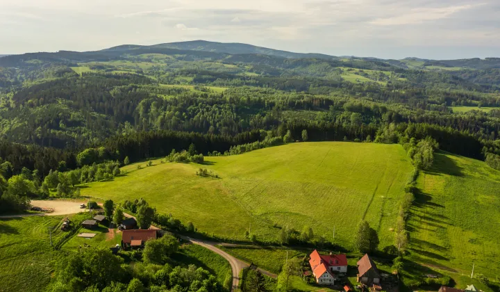 Działka budowlana Leśna