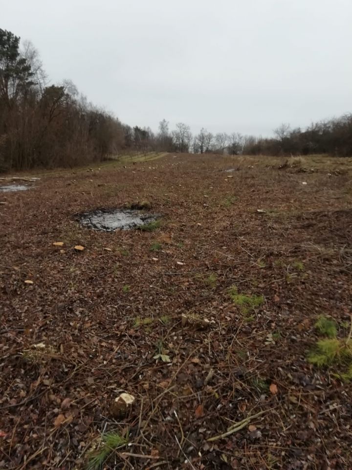 Działka budowlana Dziurów. Zdjęcie 4