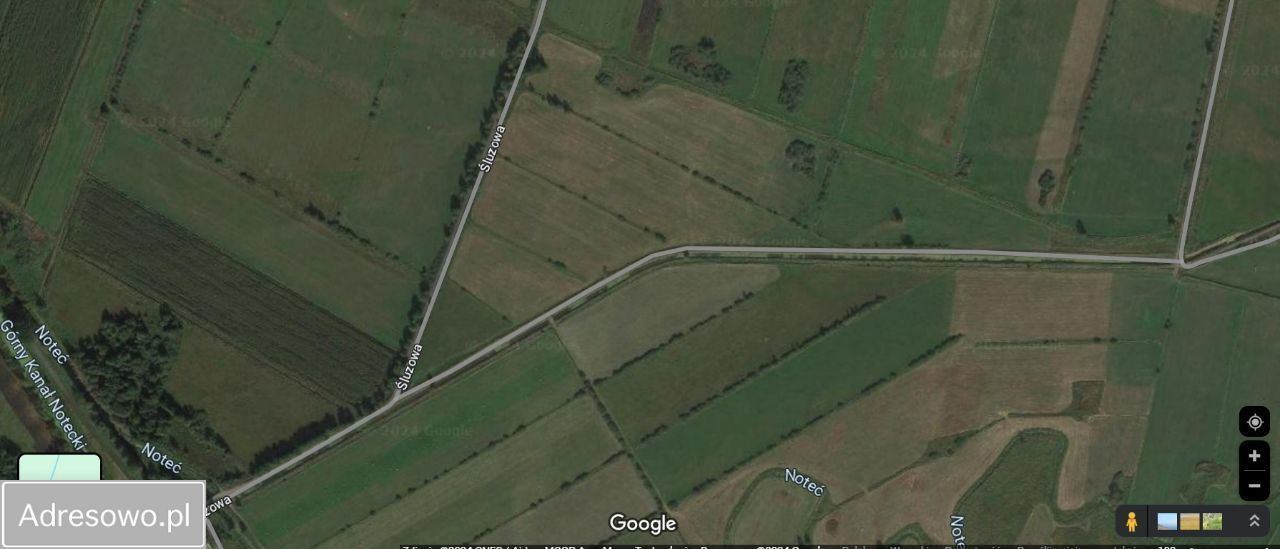 Działka rolna Kruszyn Krajeński. Zdjęcie 3