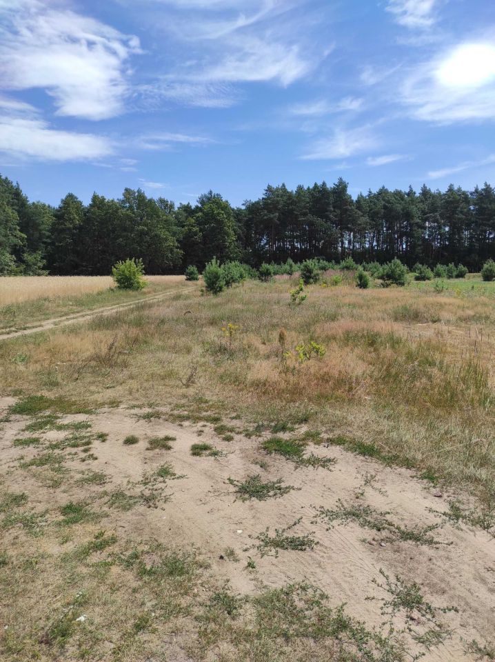 Działka budowlana Korczew. Zdjęcie 3