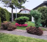 Działka rod Wejherowo Centrum, ul. mjr. Henryka Sucharskiego. Zdjęcie 4