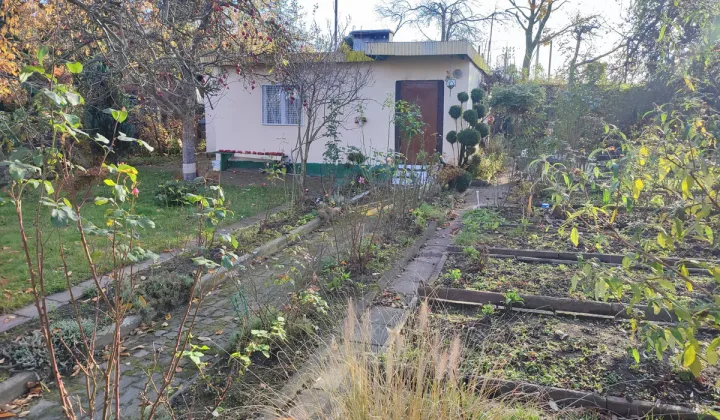 Działka rod Chorzów, ul. Owocowa