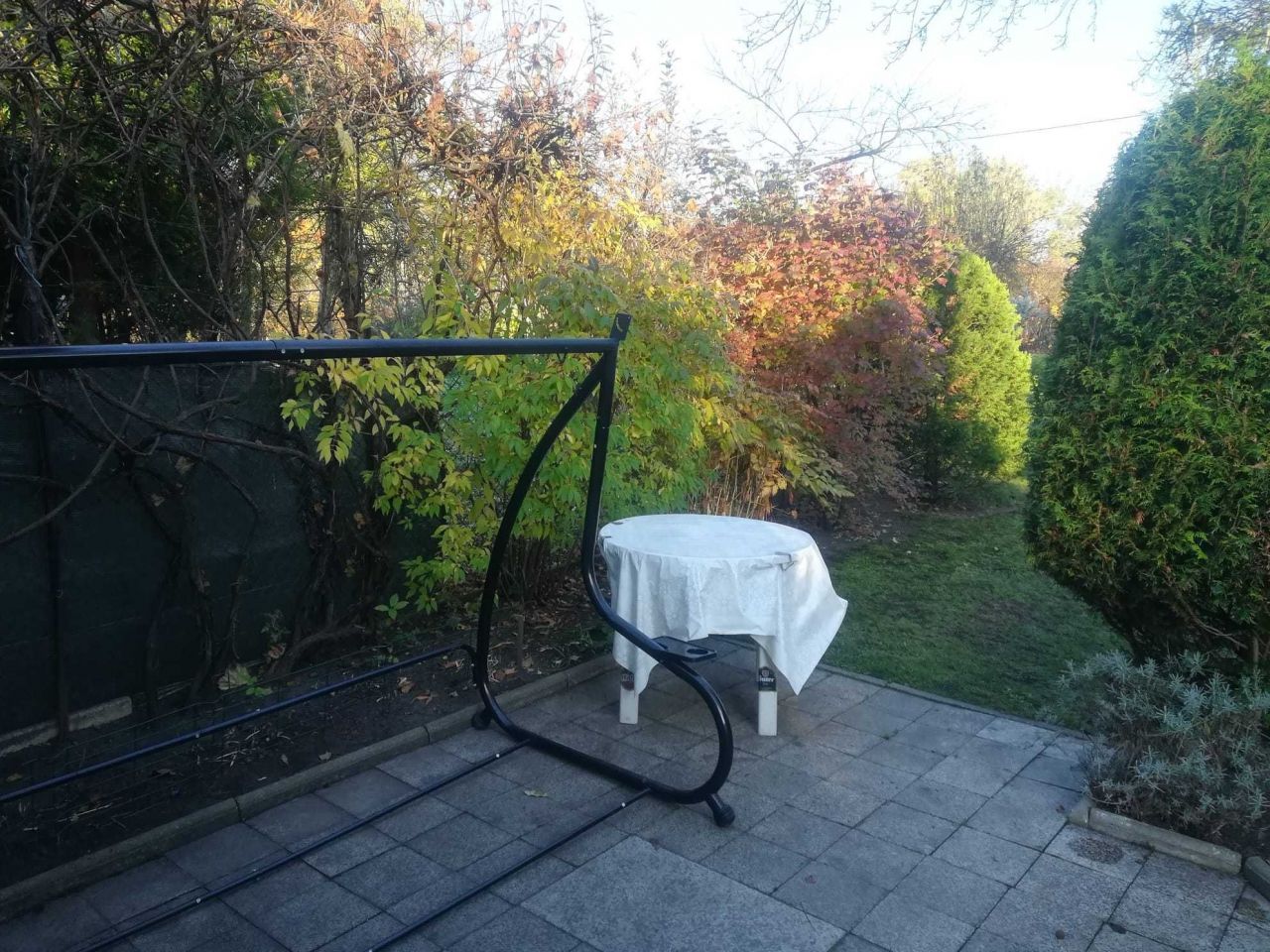 Działka rod Gliwice, ul. Andrzeja Mielęckiego. Zdjęcie 8