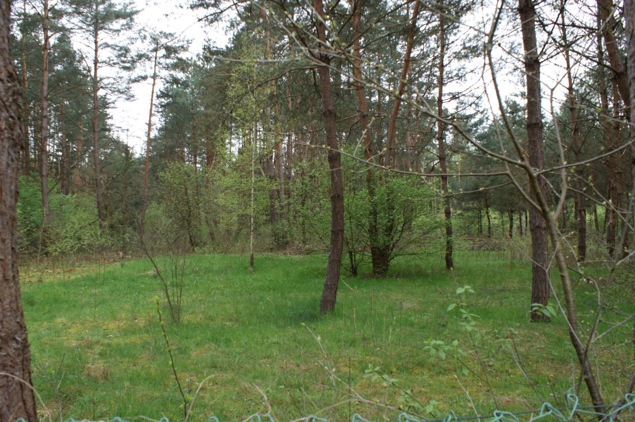 Działka rekreacyjna Czerwona Wola Myszkówka. Zdjęcie 9