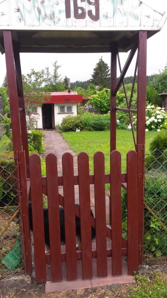 Działka rod Piła, ul. Szymanowskiego