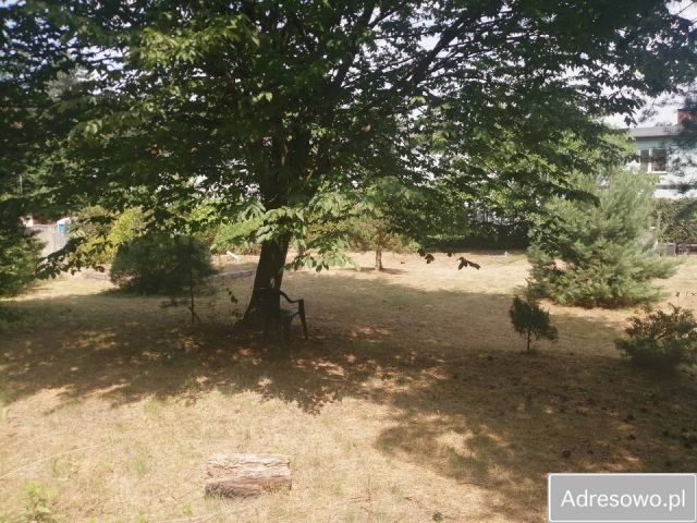 Działka budowlana Konewka. Zdjęcie 1